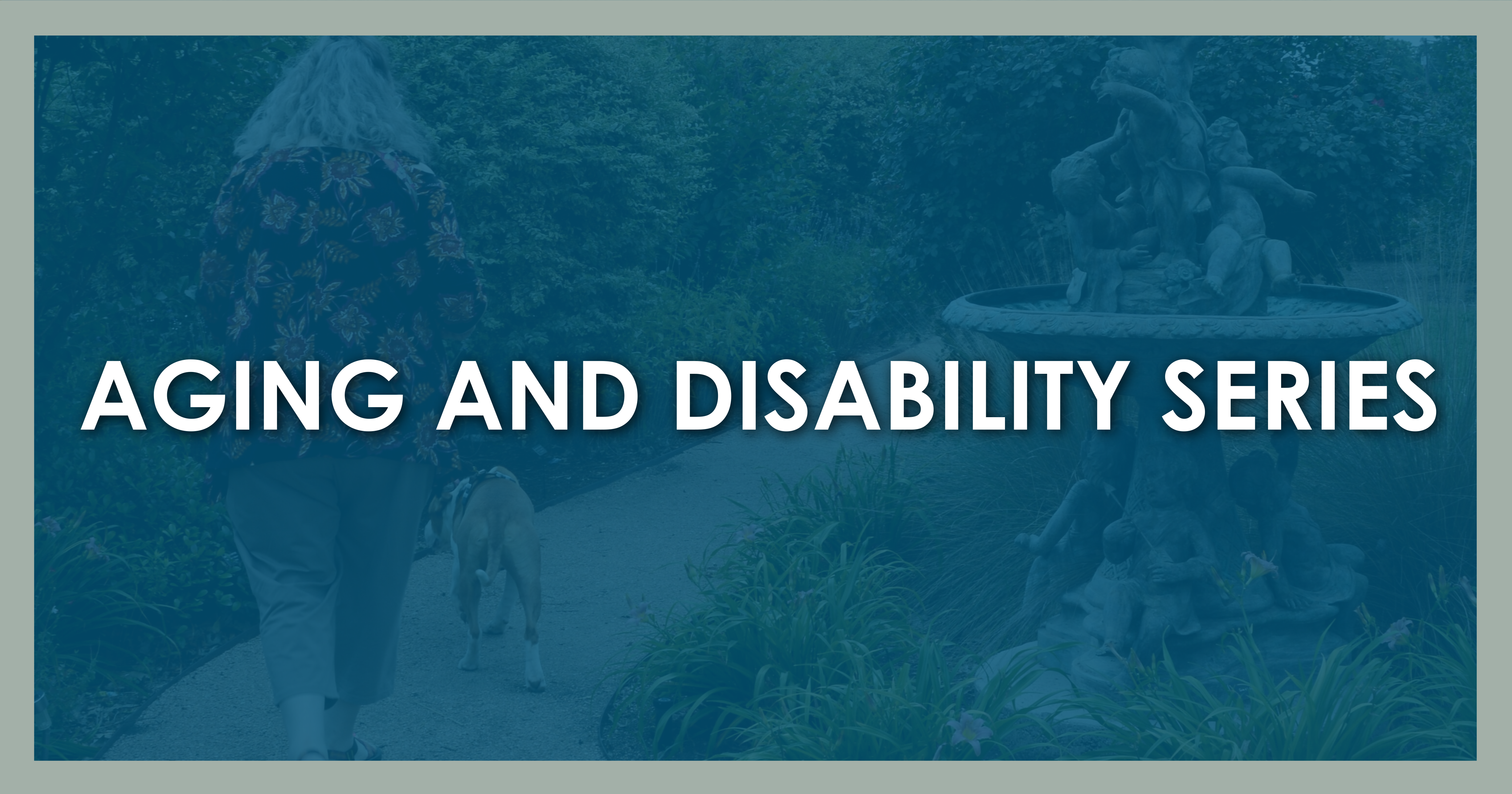 Disability distribution